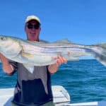 Deep See Fishing Cape Cod with Reel Deal