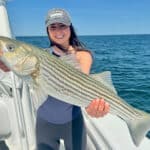 Cape Cod Striped Bass Fishing Charter with Reel Deal