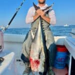Cape Cod Bluefin Tuna Fishing Charters Reel Deal