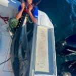 Cape Cod Bluefin Tuna Fishing Charters Reel Deal