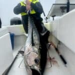 Cape Cod Bluefin Tuna Fishing Charters Reel Deal