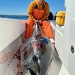 Cape Cod Bluefin Tuna Fishing Charters Reel Deal