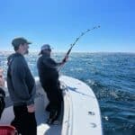 Cape Cod Bluefin Tuna Fishing Charters Reel Deal