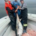 Cape Cod Bluefin Tuna Fishing Charters Reel Deal