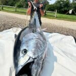 Cape Cod Bluefin Tuna Fishing Charters Reel Deal