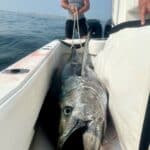 Cape Cod Bluefin Tuna Fishing Charters Reel Deal