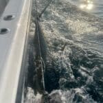 Cape Cod Bluefin Tuna Fishing Charters Reel Deal