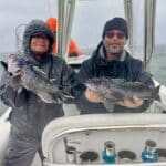 Cape Cod Black Sea Bass Fishing Charters with Reel Deal