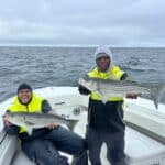 Cape Cod Fishing Charters with Reel Deal - Striped Bass
