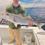 Cape Cod Fishing Charters for Striped Bass with Reel Deal