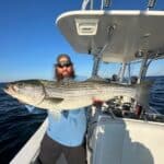 Deep Sea Fishing Charters for Striped Bass with Reel Deal