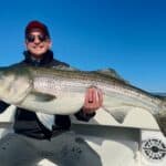 Huge Striped Bass with Reel Deal at 48"!