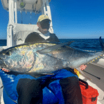 Cape Cod Bluefin Tuna Fishing Charters with Reel Deal