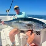Cape Cod Bluff Tuna Fishing with Reel Deal