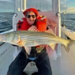 Cape Cod Striped Bass Fishing Charters with Reel Deal