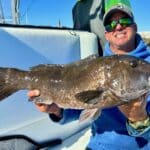 Cape Cod Fishing Charters for Tautog with Reel Deal