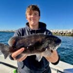 Cape Cod Fishing Charters for Tautog with Reel Deal